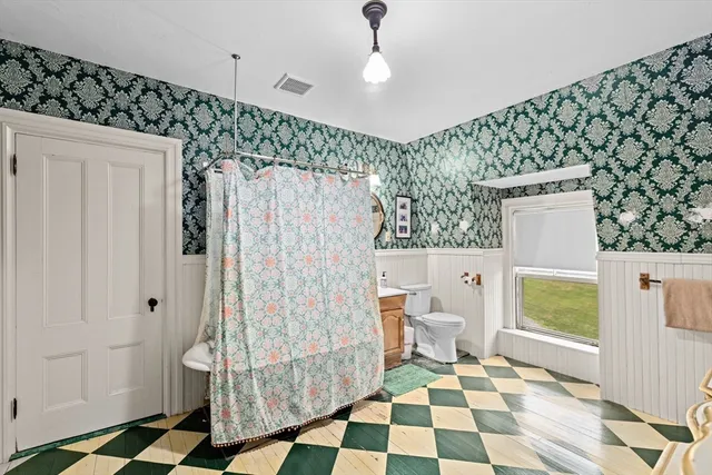 a bathroom with a sink a mirror a toilet and a shower