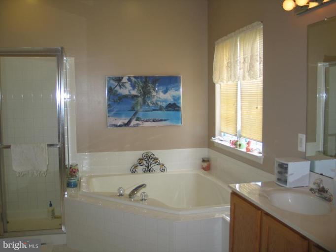 9005 Bealls Farm Road Frederick, MD 21704 - Photo 18 of 27 Master Bath