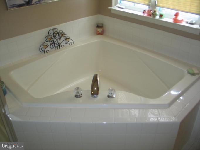 9005 Bealls Farm Road Frederick, MD 21704 - Photo 19 of 27 Master Bath #2
