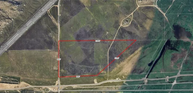 a view of a big room with a large tree