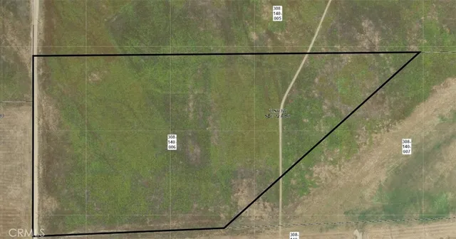 a view of a dry yard