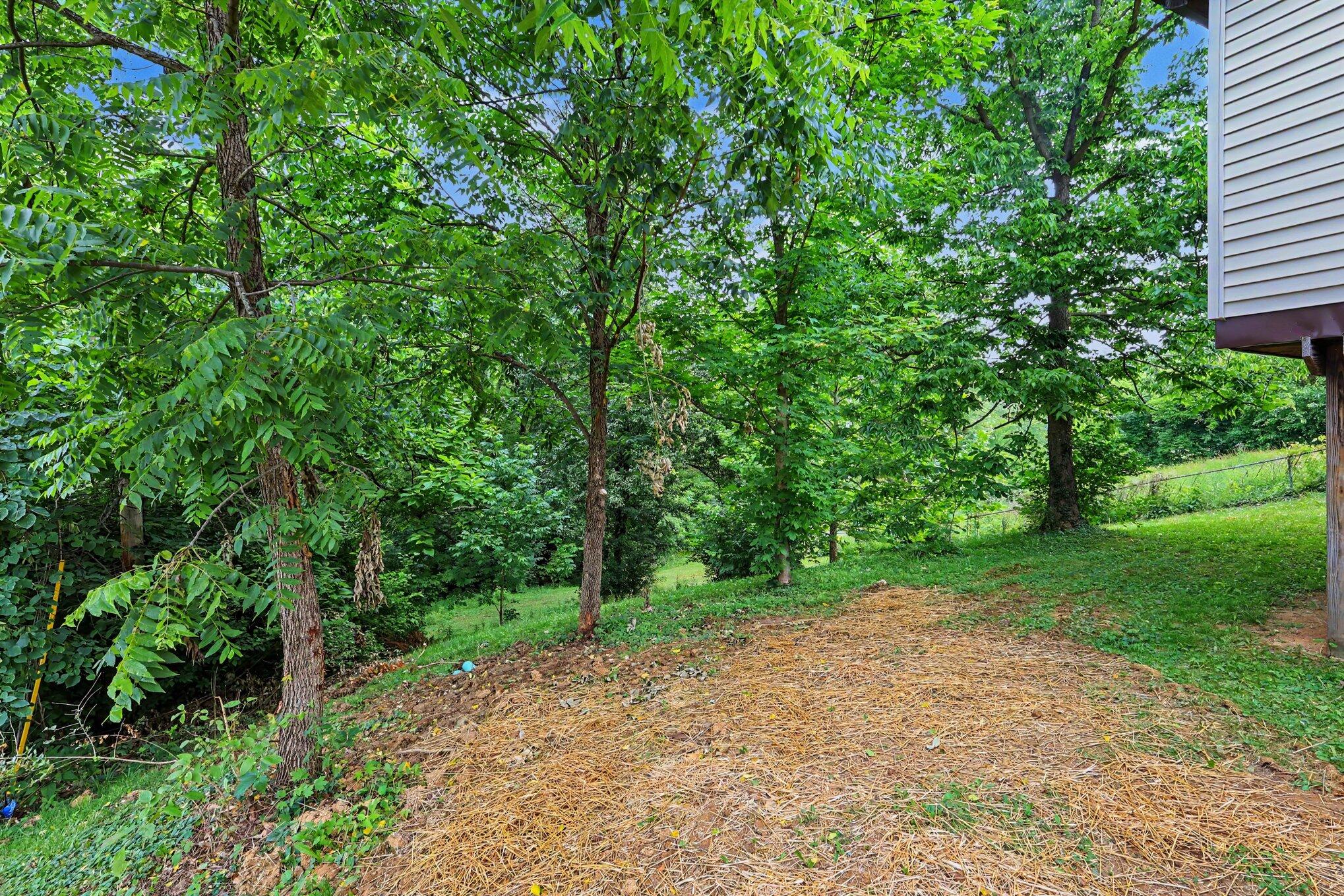 806 Cox Road Independence, KY 41051 - Photo 29 of 30 file_7494