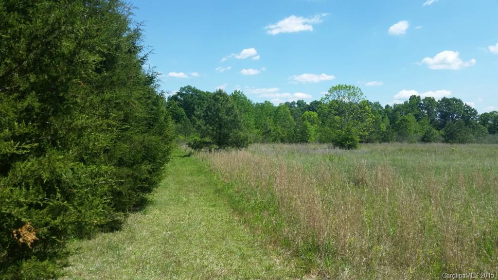 517 Lee Pierce Road Marshville, NC 28103 - Photo 8 of 11 Gallery Image 8