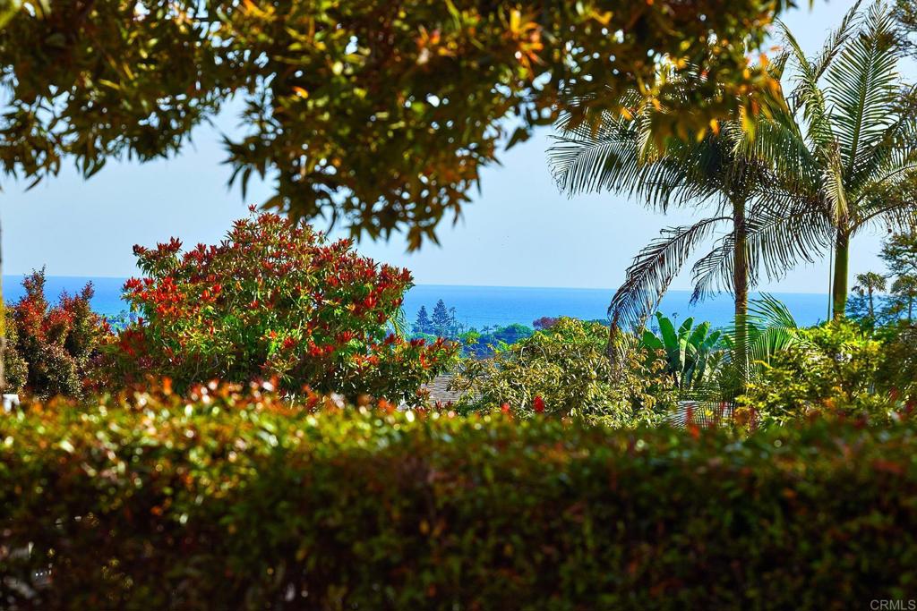 3252 Highland Drive Carlsbad, CA 92008 - Photo 7 of 55