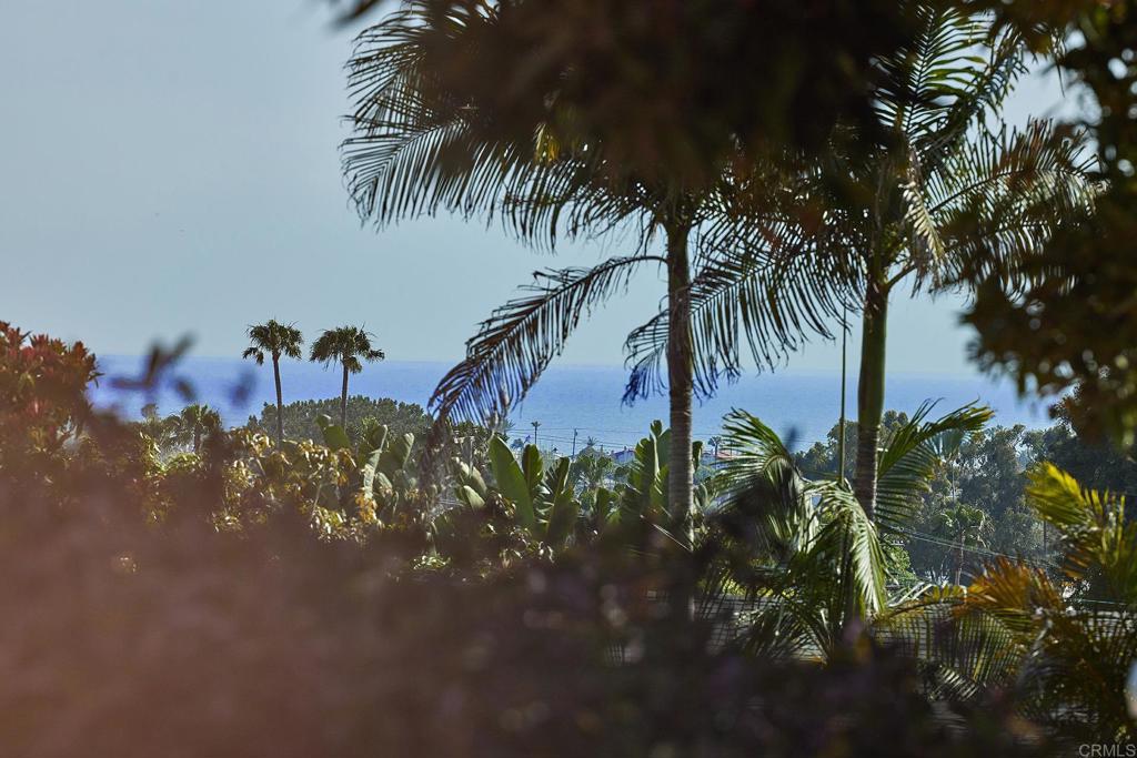 3252 Highland Drive Carlsbad, CA 92008 - Photo 8 of 55