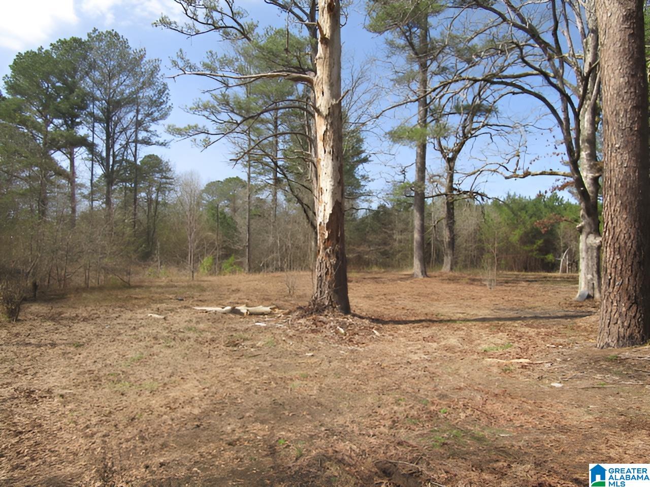 4429 Roy Webb Road Jacksonville, AL 36265 - Photo 14 of 26