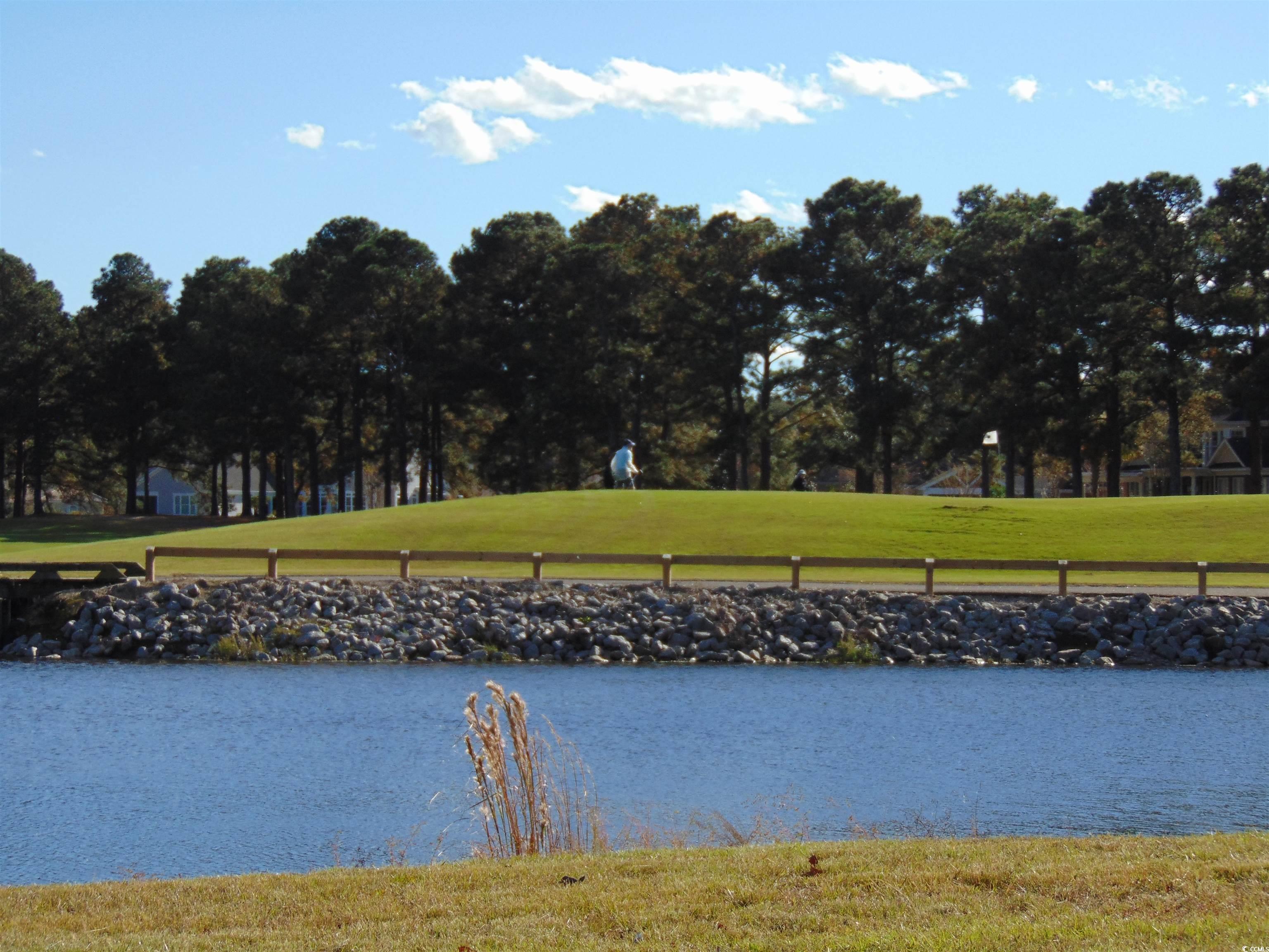 1587 Landing Road Myrtle Beach, SC 29577 - Photo 34 of 38