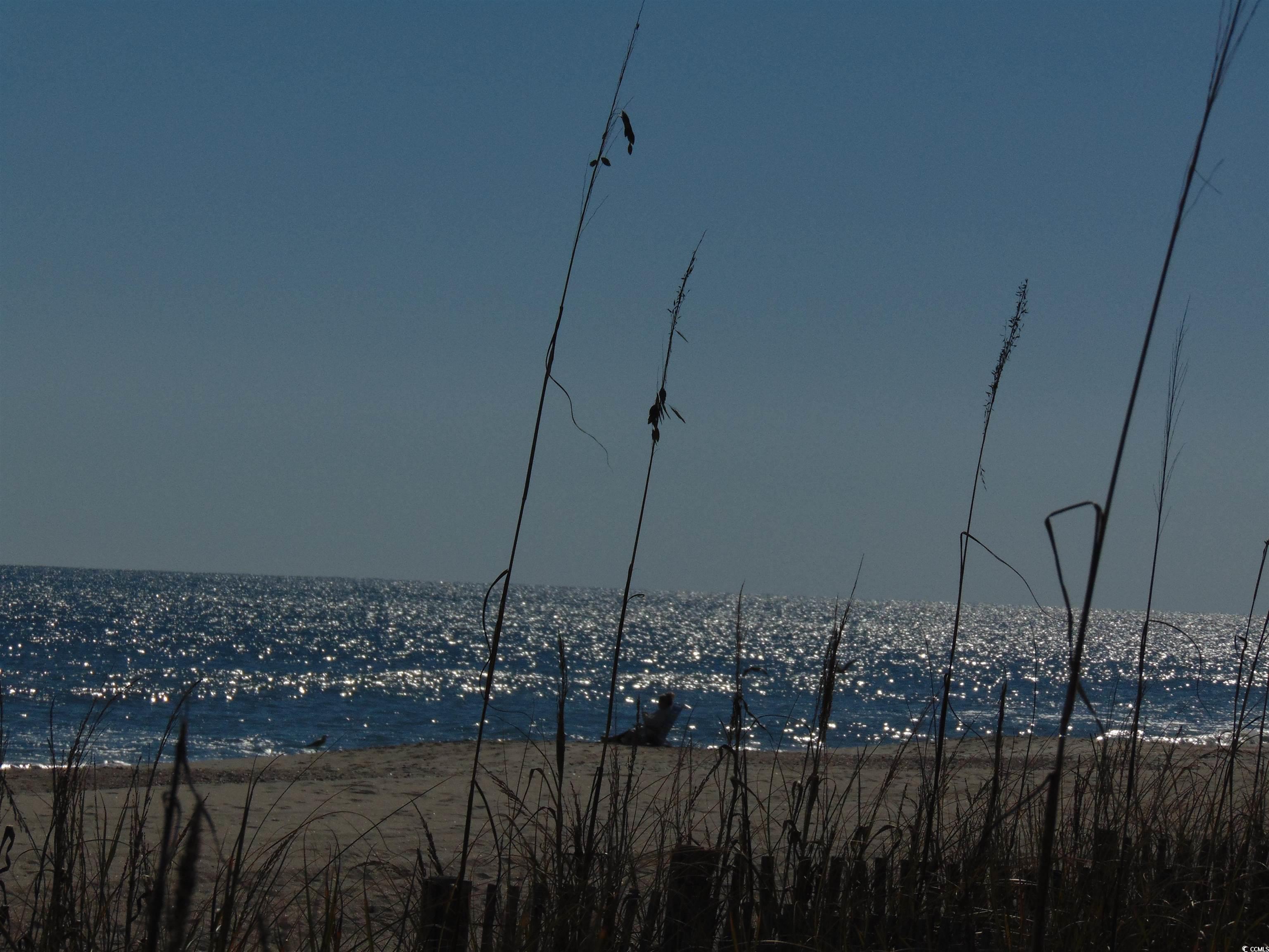 1587 Landing Road Myrtle Beach, SC 29577 - Photo 37 of 38