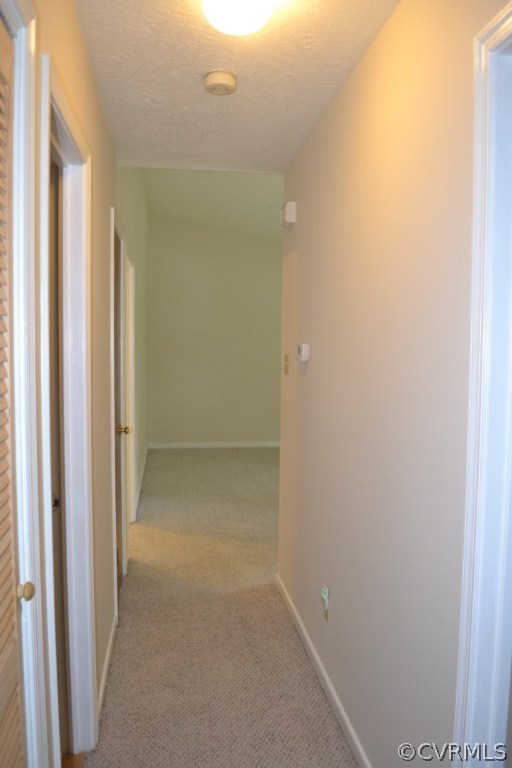 6405 Spruce Road Quinton, VA 23141 - Photo 19 of 24 Gallery Image 19