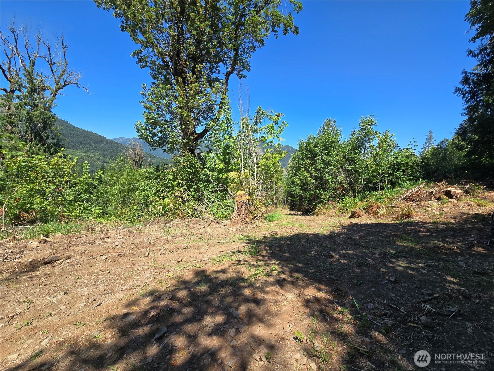 0 Highland Valley Road Morton, WA 98356 - Photo 2 of 9 Gallery Image 2