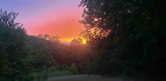 $399,000 | 10325 Wagon Wheel Terrace, Harrison, TN 37341