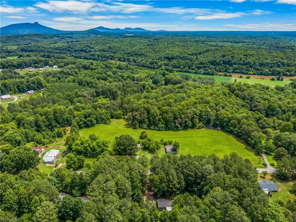 5041 Friendship Circle Road East Bend, NC 27018 - Photo 47 of 50