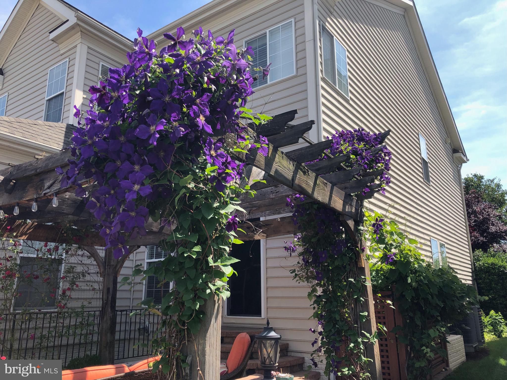 6319 Still Spring Place Alexandria, VA 22315 - Photo 92 of 94 Architecturally design Pergola w/ Clematis