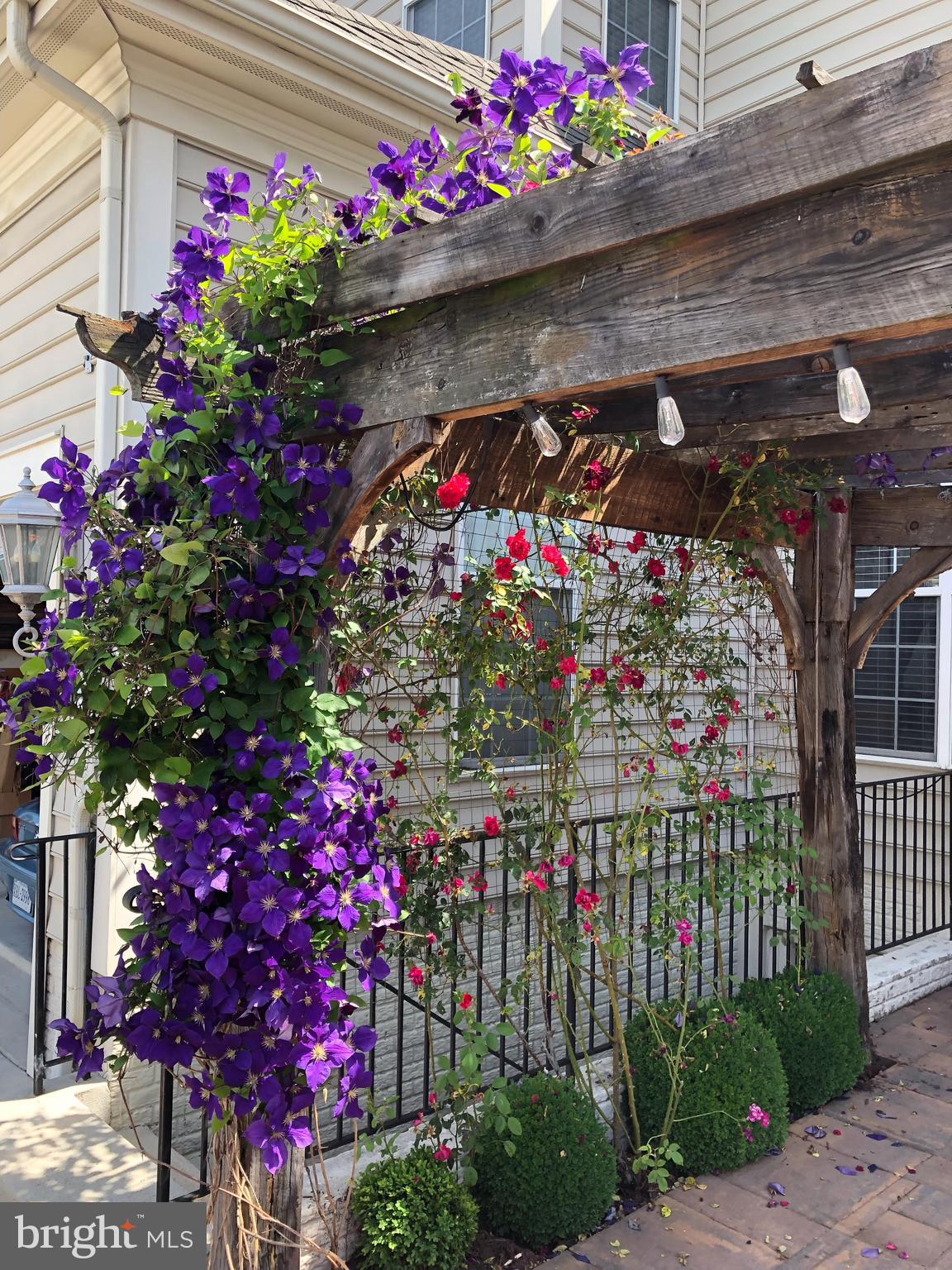 6319 Still Spring Place Alexandria, VA 22315 - Photo 93 of 94 Architecturally design Pergola - Clematis & Roses