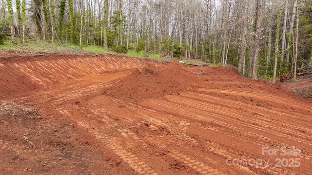 a view of a backyard with large trees