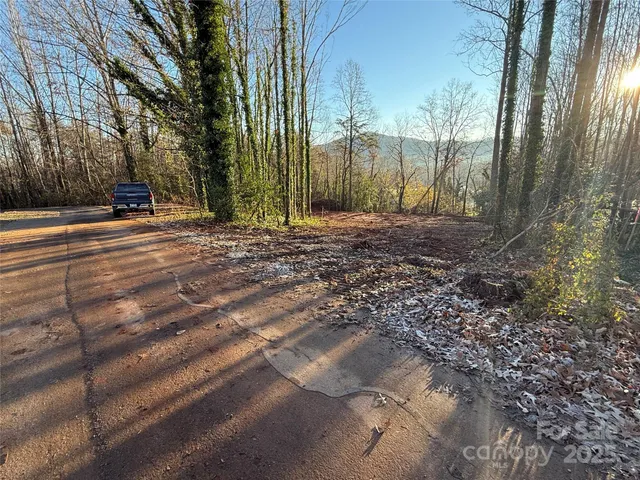 a view of a back yard