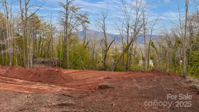 a view of dirt with trees