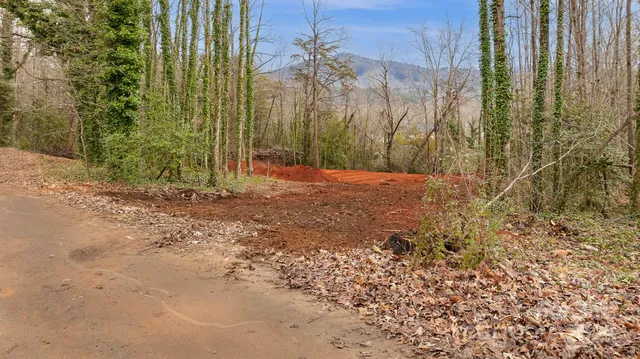 a view of a backyard with trees