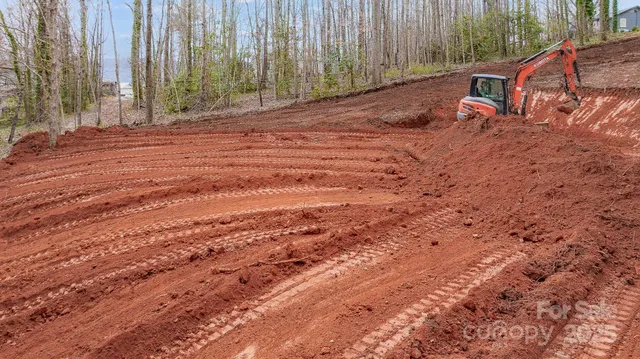 a view of a backyard with large trees