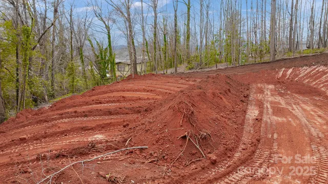 a view of an outdoor space with a tree