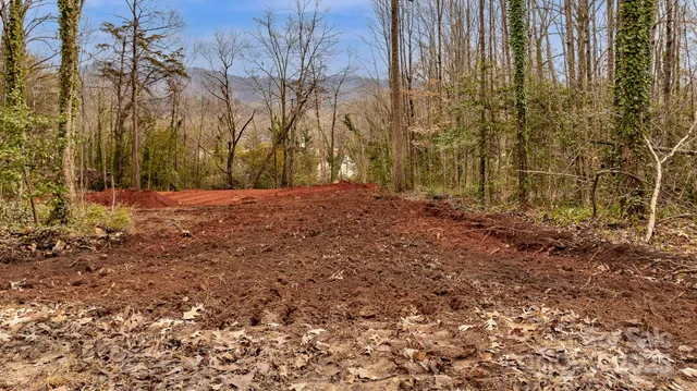 a view of a yard with trees