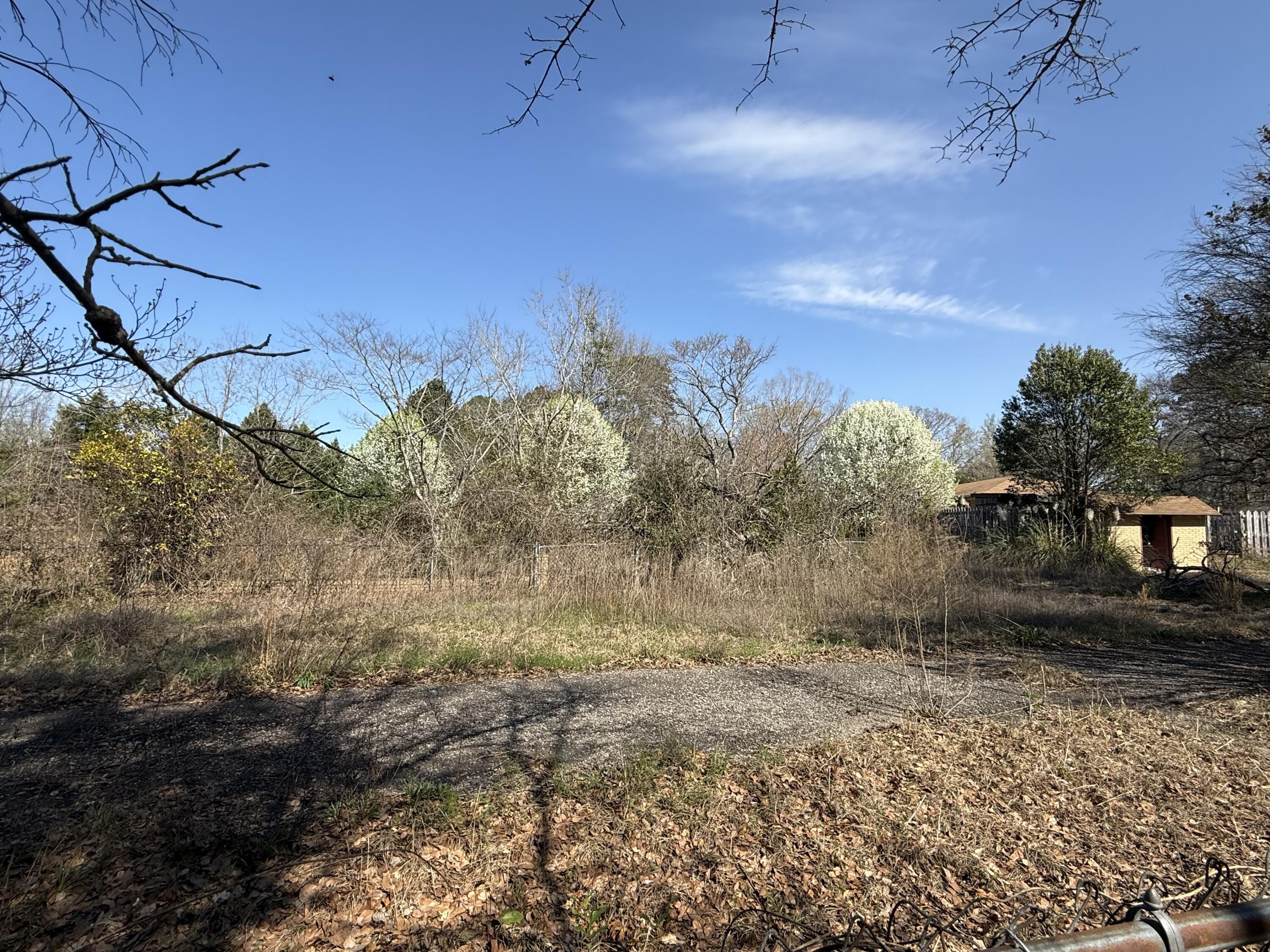 1385 Peach Orchard Road Sumter, SC 29154 - Photo 4 of 16