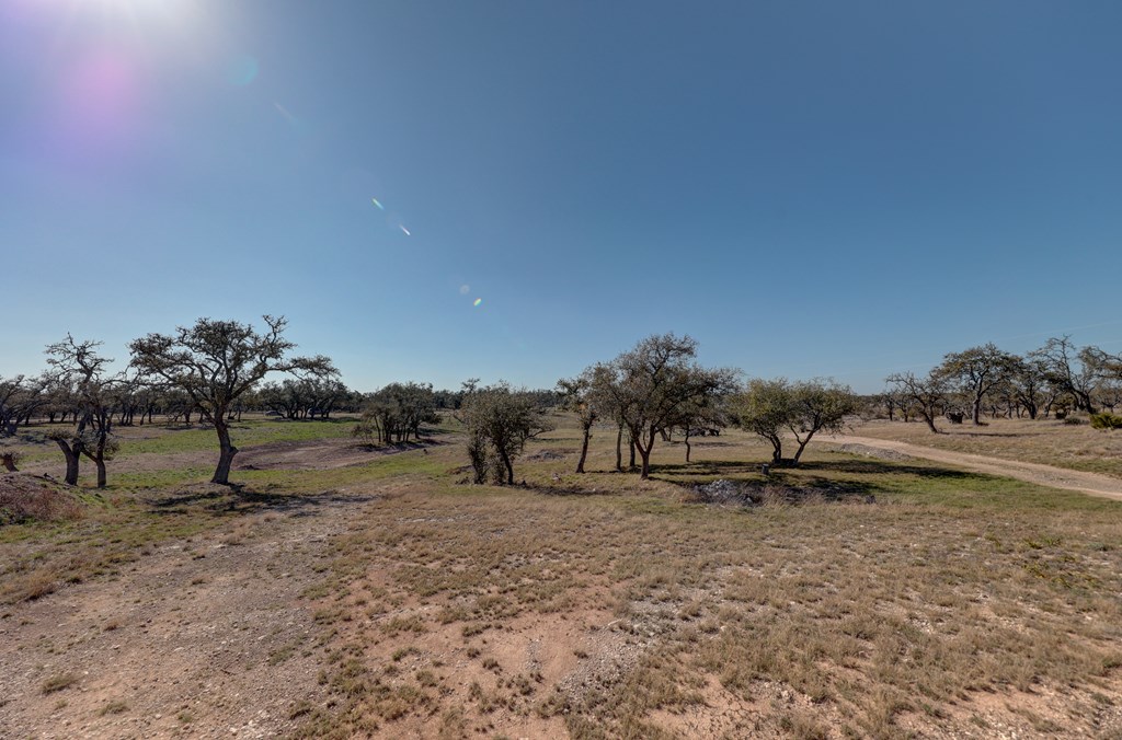 200 Mosel Road Harper, TX 78631 - Photo 39 of 45 a view of dirt field with trees