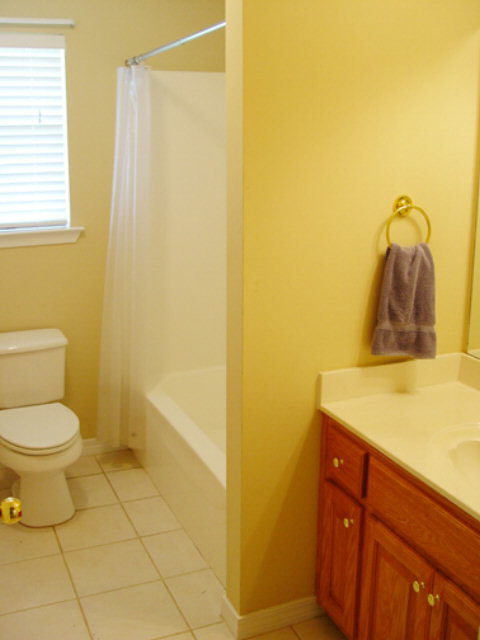 10496 South Side Loop Fairhope, AL 36532 - Photo 18 of 21 Hall bathroom