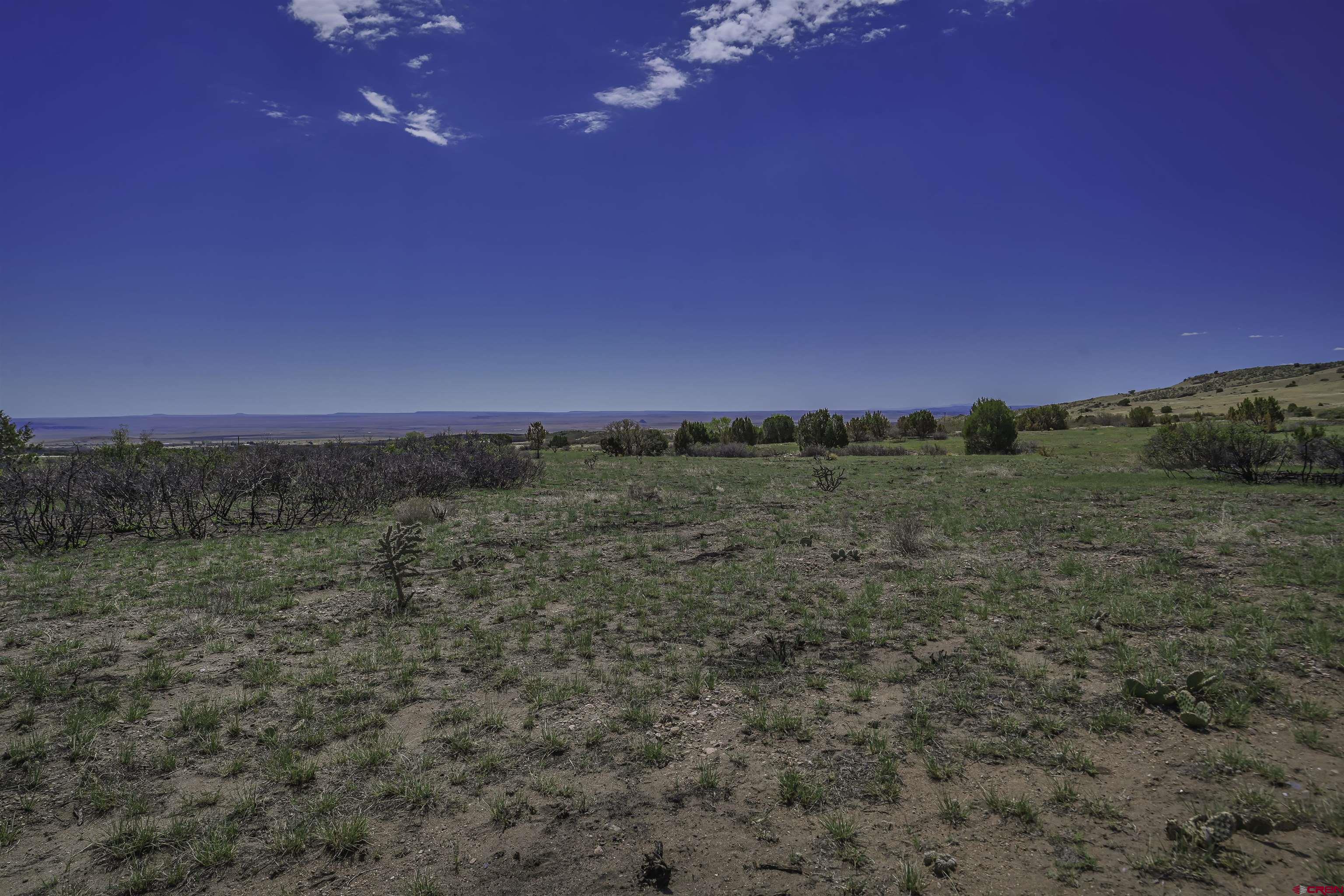 Lot 93 County Road 651 Rye, CO 81069 - Photo 16 of 44 Gallery Image 16
