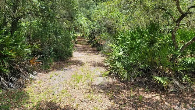 a view of outdoor space with deck and yard