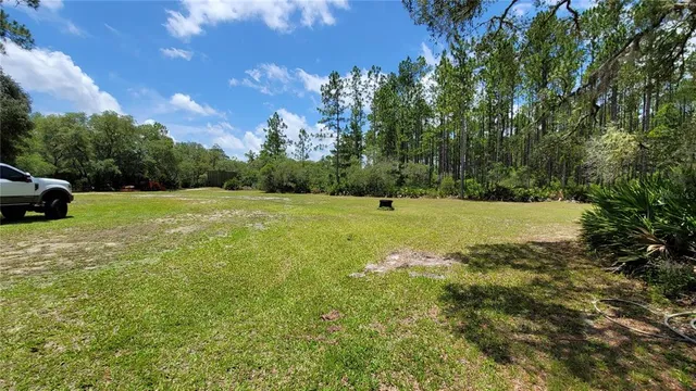 a view of backyard with green space