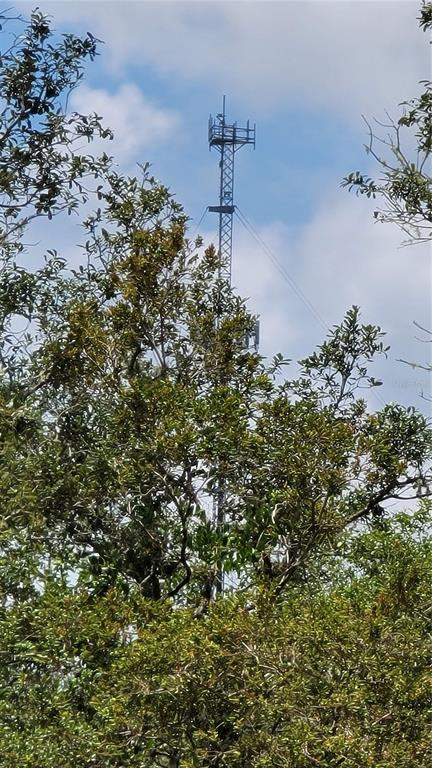 3690 Southeast 54th Avenue Morriston, FL 32668 - Photo 24 of 43 a picture of a tree