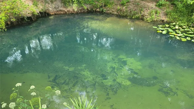 a view of a lake with a yard