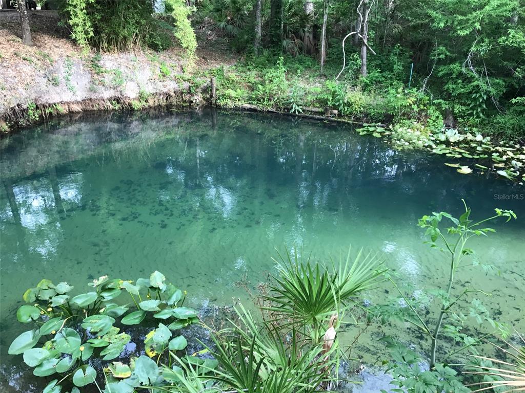 3690 Southeast 54th Avenue Morriston, FL 32668 - Photo 29 of 43 a view of a lake with a yard