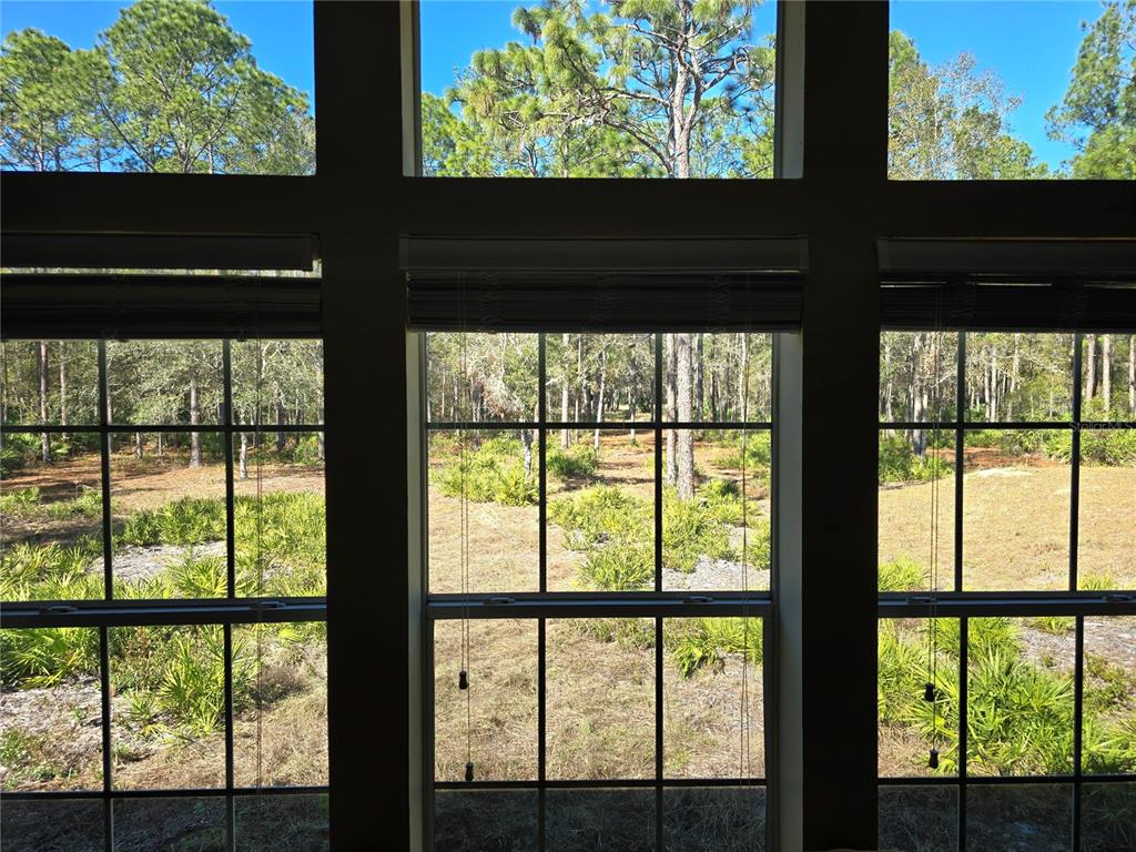 3690 Southeast 54th Avenue Morriston, FL 32668 - Photo 36 of 43 a view of outdoor with green space