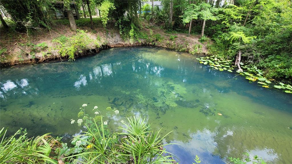 3690 Southeast 54th Avenue Morriston, FL 32668 - Photo 5 of 43 a view of a lake