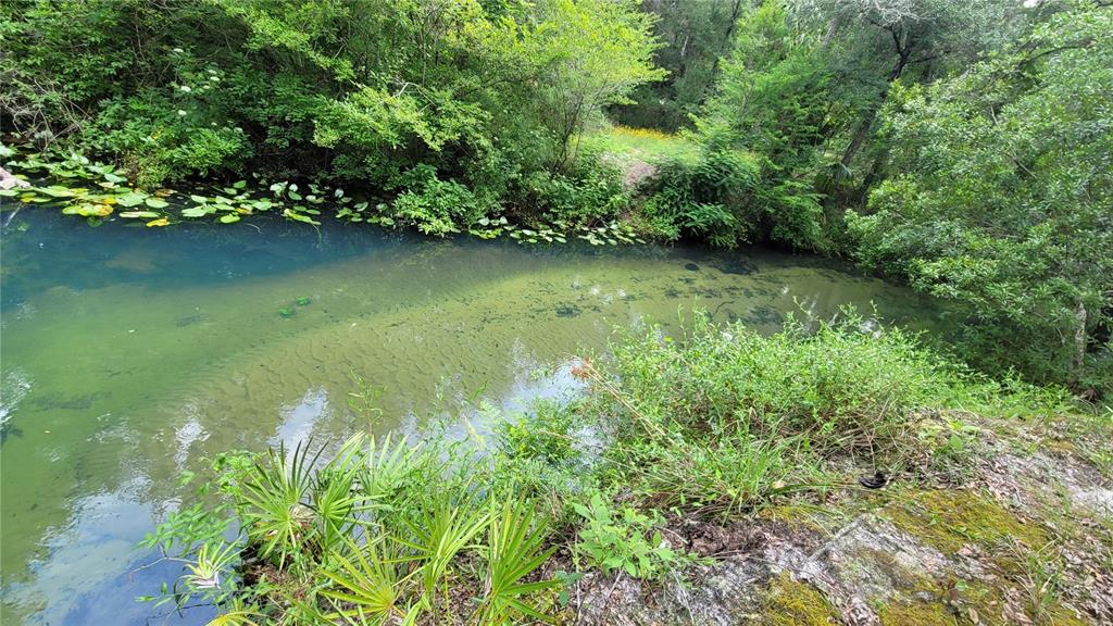 3690 Southeast 54th Avenue Morriston, FL 32668 - Photo 6 of 43 a view of a green yard
