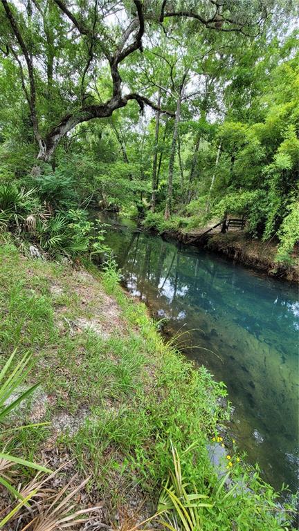 3690 Southeast 54th Avenue Morriston, FL 32668 - Photo 7 of 43 a view of a lake with a park