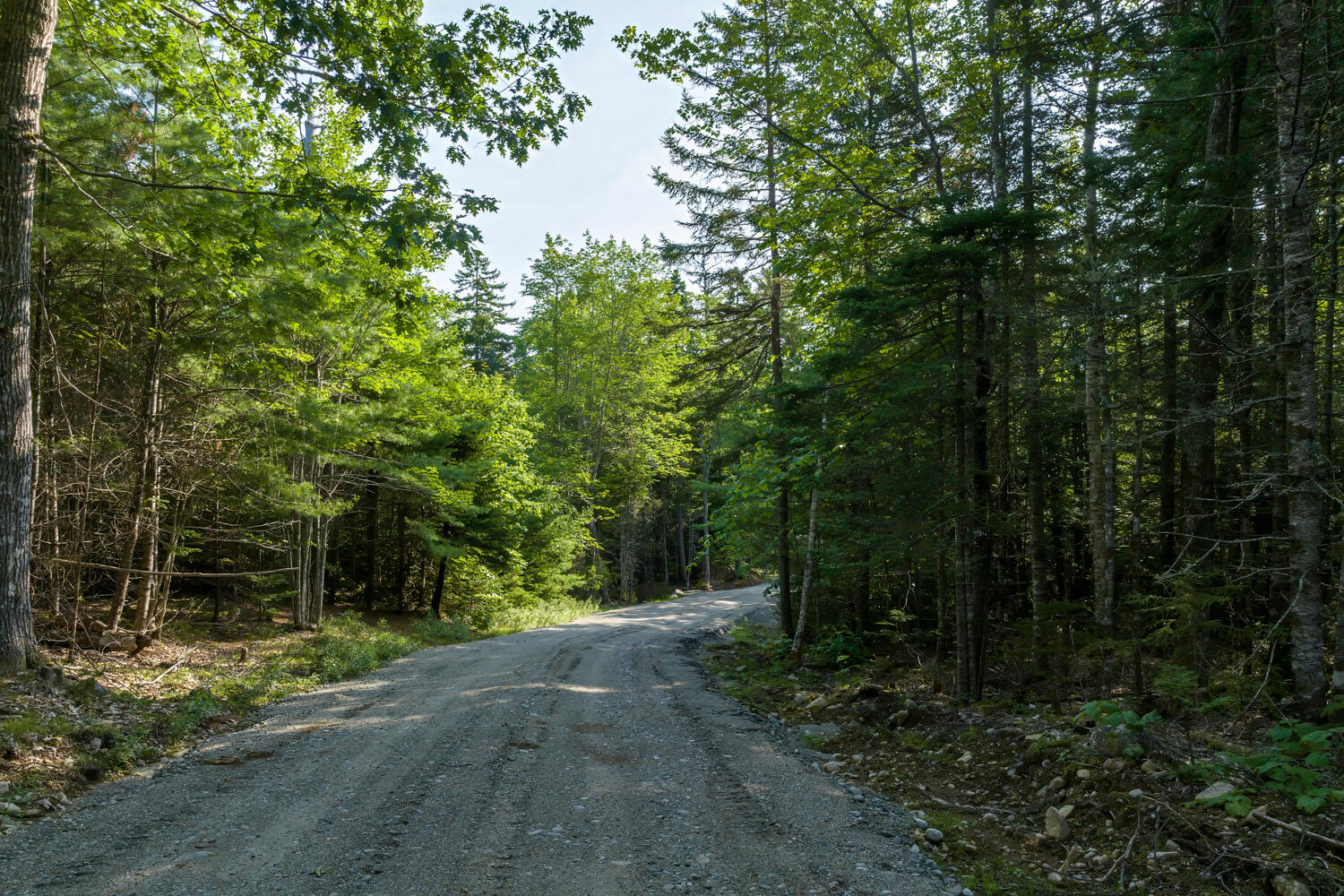 10 Patty Road Bar Harbor, ME 04609 - Photo 2 of 23 10-000 Patty Lot Road,-DTP