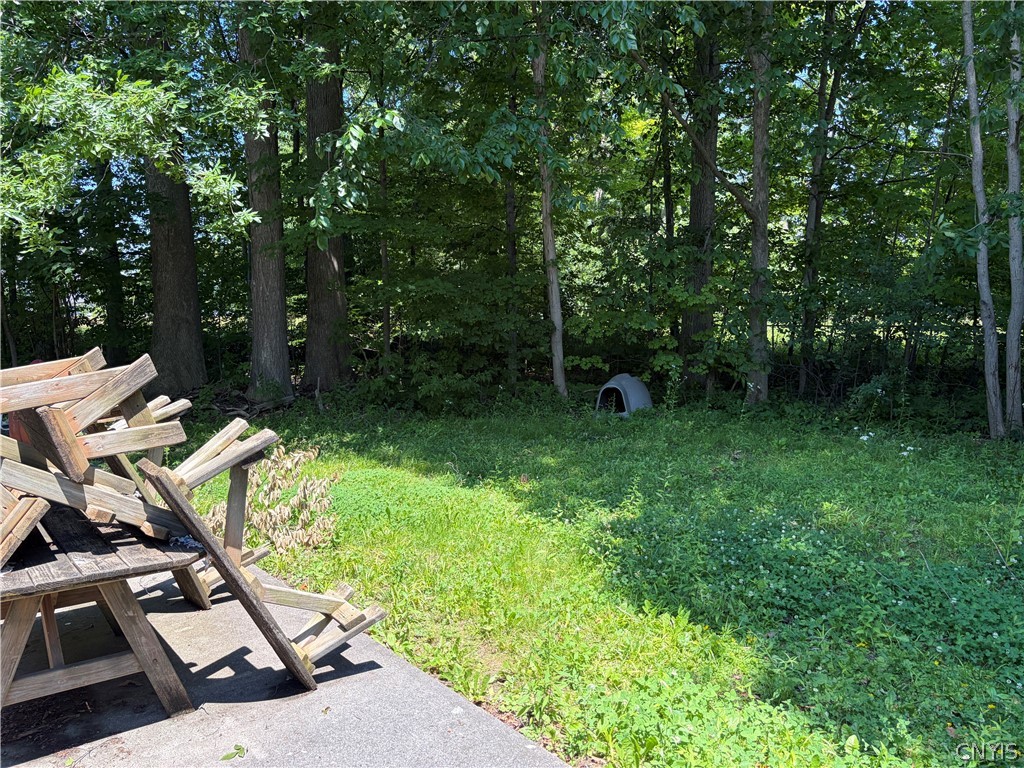 8360 Oswego Road Clay, NY 13090 - Photo 4 of 26
