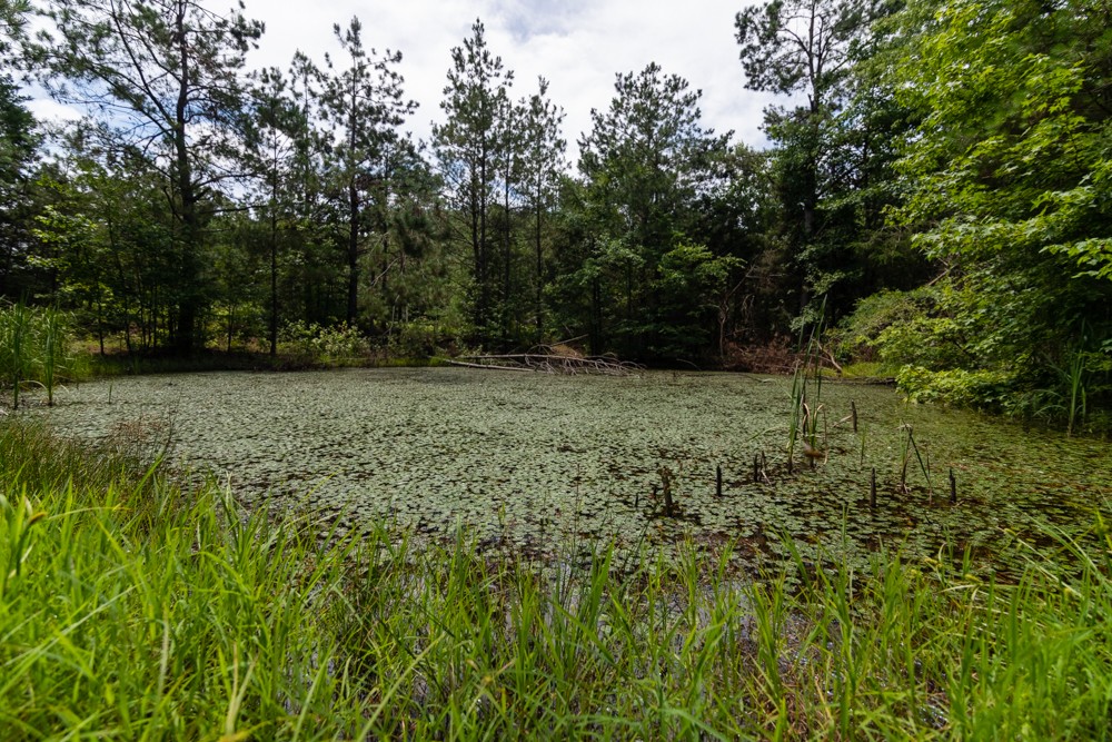 7636 Liberty Road Scotts Hill, TN 38374 - Photo 61 of 78