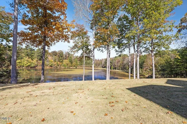 a living room with furniture a dining table with wooden floor and a potted plant