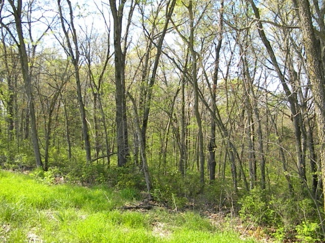 Oerly Rd Prairie Jamestown, MO 65046 - Photo 2 of 2