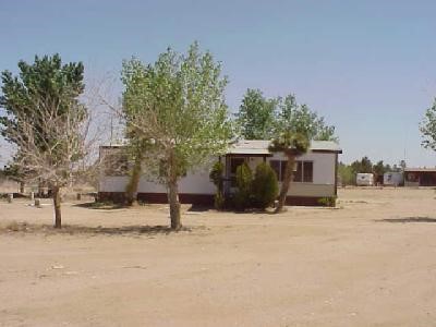 4370 Solano Road Phelan, CA 92371 - Photo 1 of 1 a street view covered with trees