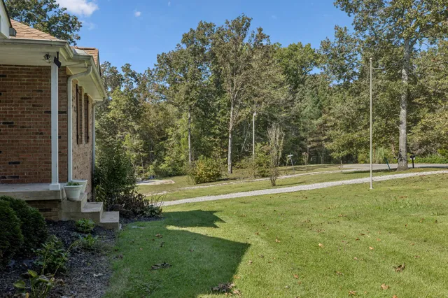 a view of a bathroom with a potted plant