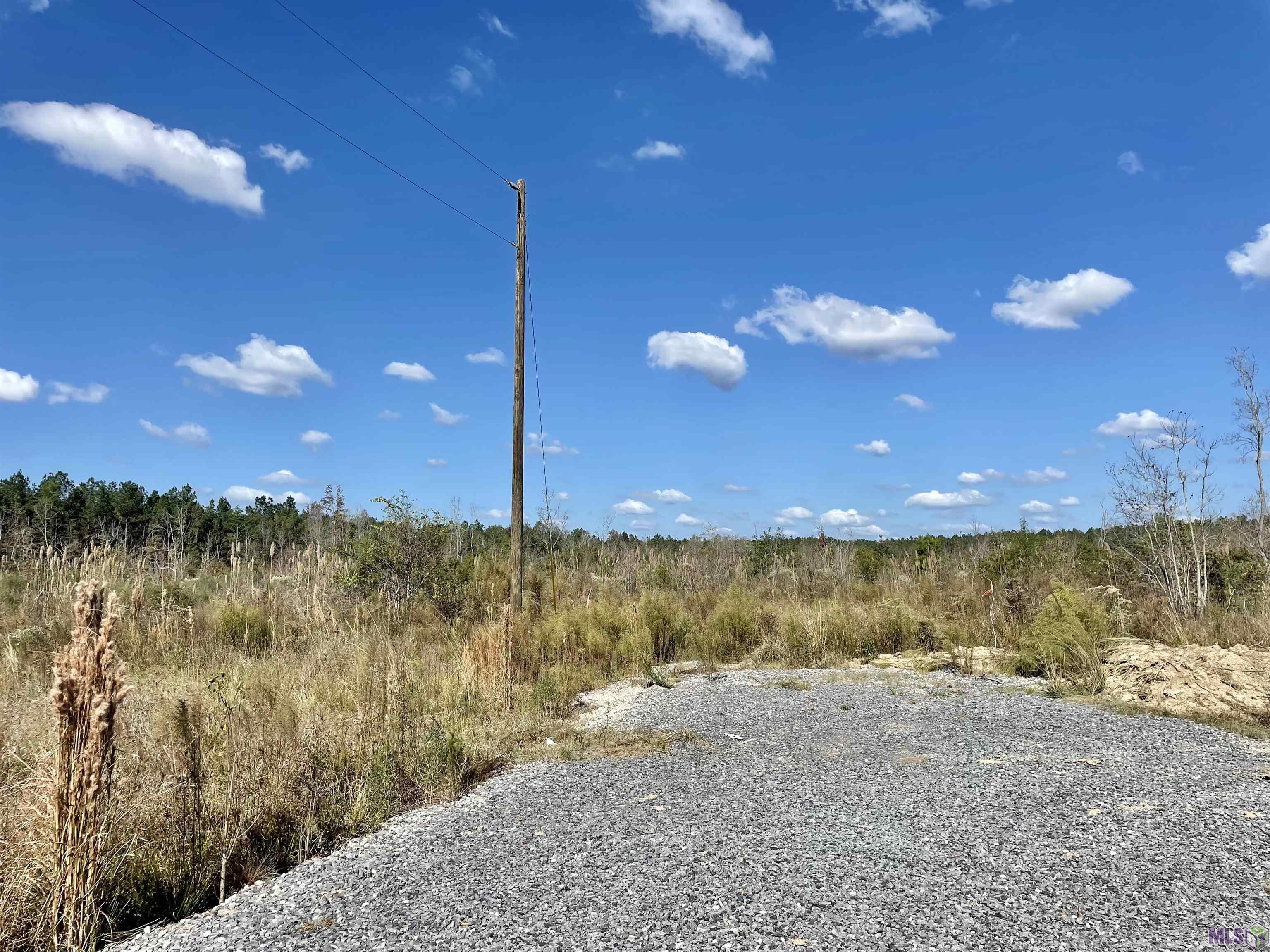 T-8 Palmer Road Livingston, LA 70754 - Photo 1 of 5 Gallery Image 1