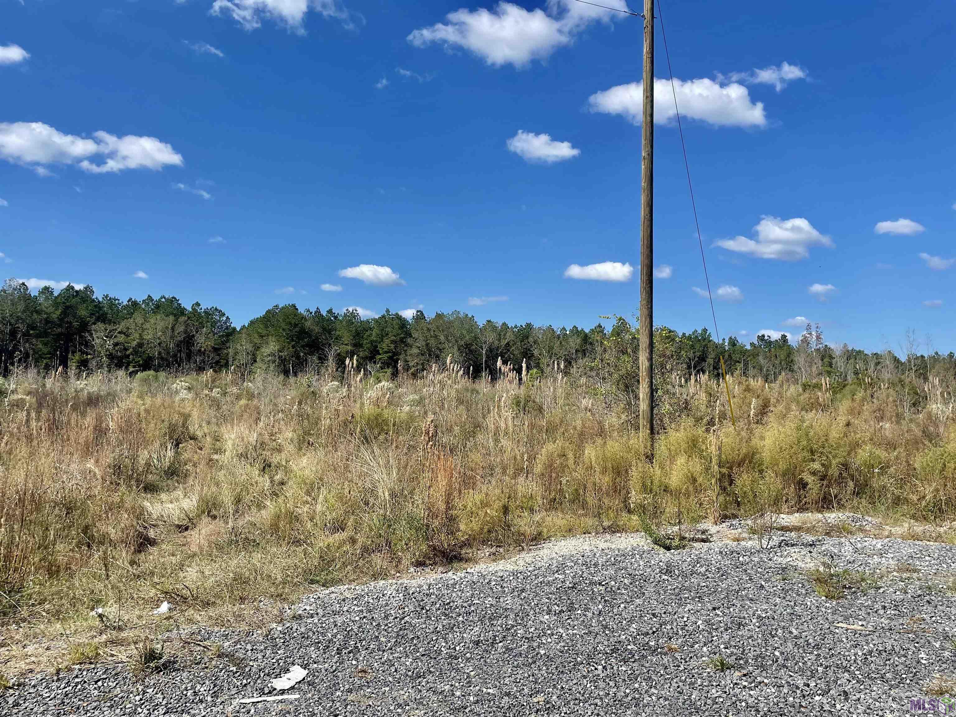T-8 Palmer Road Livingston, LA 70754 - Photo 2 of 5 Gallery Image 2