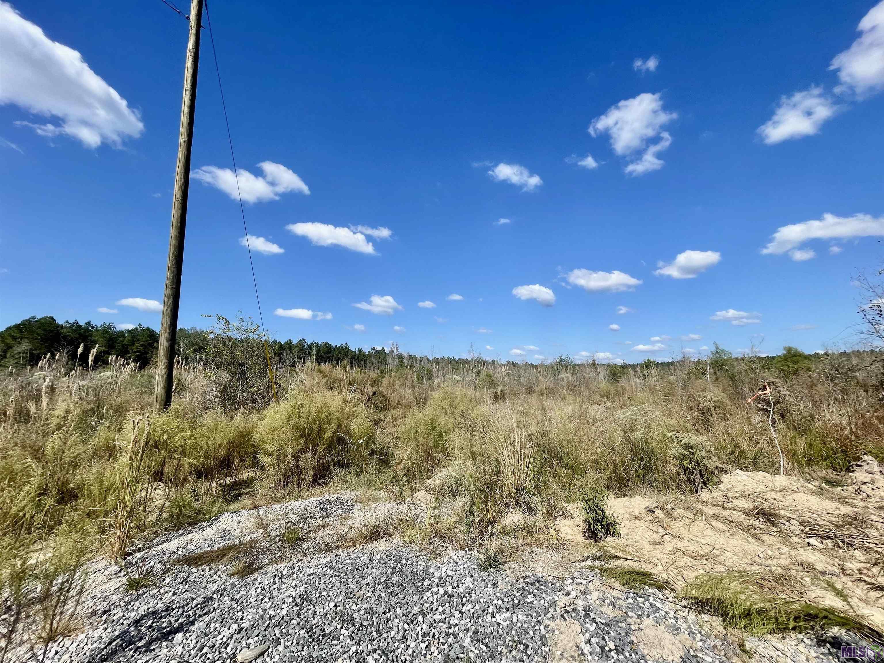 T-8 Palmer Road Livingston, LA 70754 - Photo 3 of 5 Gallery Image 3