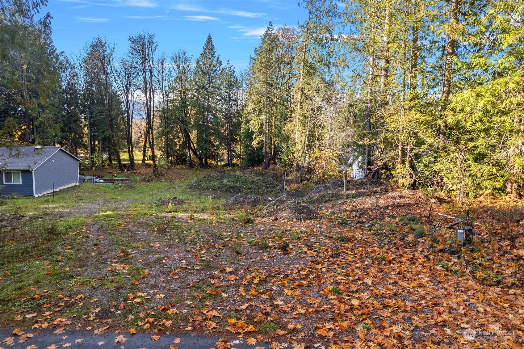 7322 Hideaway Lane Concrete, WA 98237 - Photo 3 of 14 a view of a yard with trees