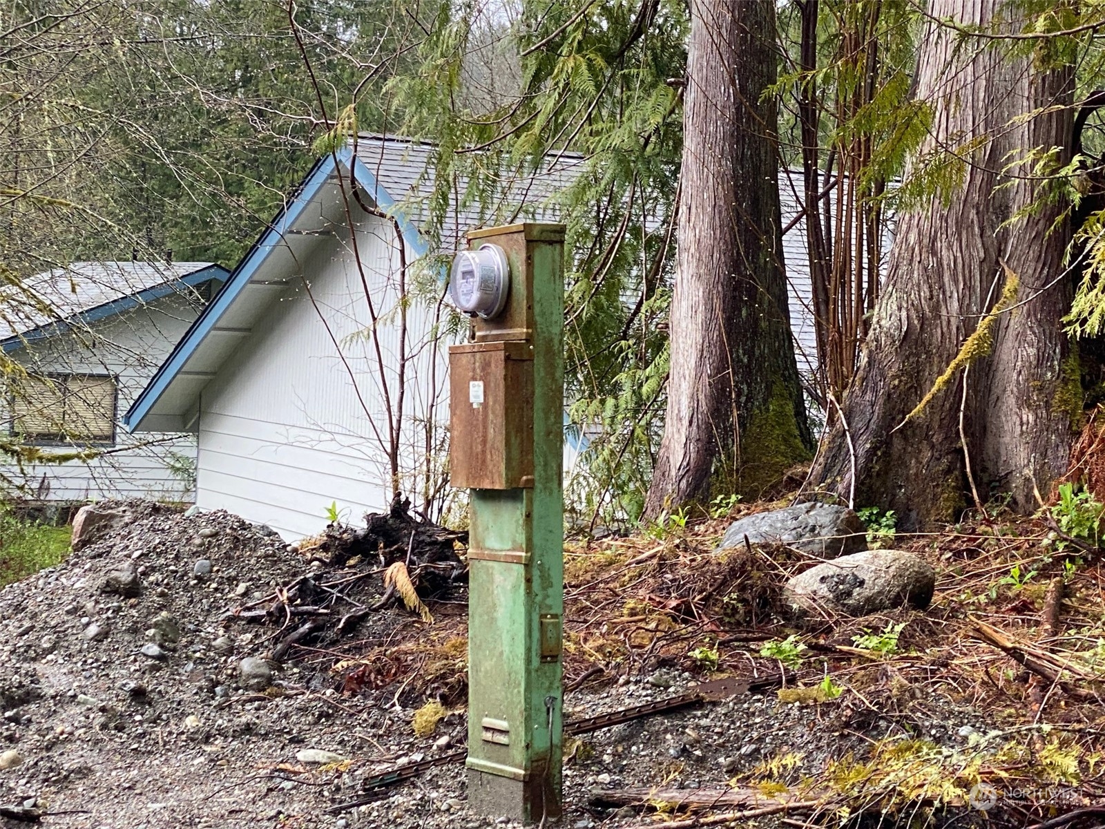 7322 Hideaway Lane Concrete, WA 98237 - Photo 6 of 14 a backyard of a house with lots of plants and tree